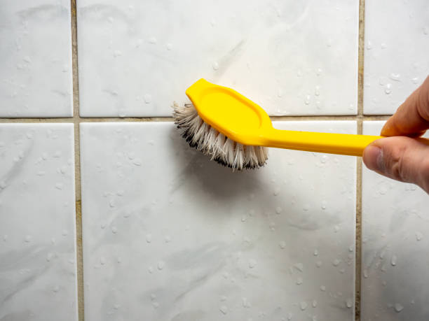 Best Emergency Mold Remediation in Bluff City, TN