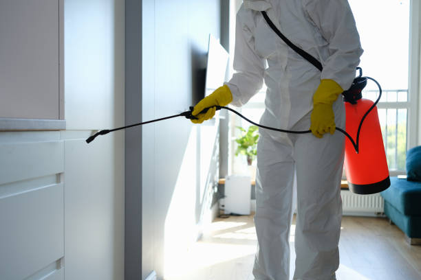 Best Post-Flood Mold Remediation in Bluff City, TN