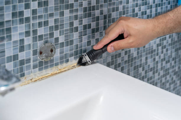 Best Basement Mold Remediation in Bluff City, TN