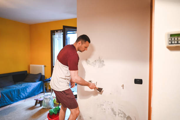 Best Health and Safety Mold Remediation in Bluff City, TN
